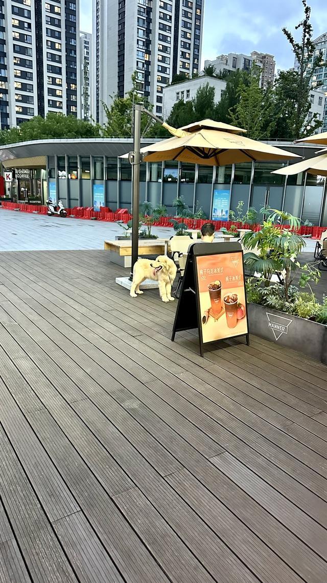 一周“升级版”游园带来哪些“乐与痛”？新葡京遛狗、帐篷……上海公园新规施行(图15)