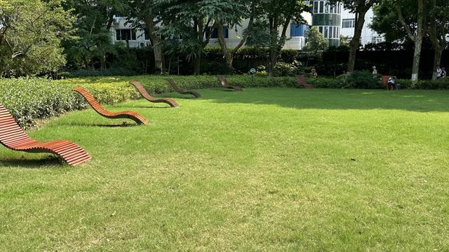 一周“升级版”游园带来哪些“乐与痛”？新葡京遛狗、帐篷……上海公园新规施行(图18)